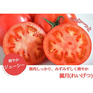 �y�ӂ邳�Ɣ[�Łz�f���V���X�t�@�[���̃g�}�g(�팎)2�L���� | ������ �f���V���X�t�@�[�� �l�C �g�}�g �������� �V�N �������͔| ���N�H�� �T���_�p �����p �_�Y�� �������� ��������