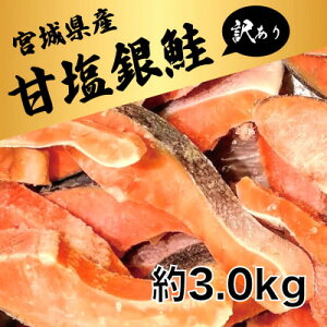 yӂ邳Ɣ[Łz󂠂 ؐg(É)3kg / {錧 쒬yzsnFzy1641035z