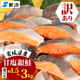 【ふるさと納税】訳あり　銀鮭　宮城県産　甘塩　切身(約1.5kg / 約3kg)_ 訳あり 銀鮭 さけ サケ 魚 海鮮 切身 甘塩 美味しい 人気 宮城県産 大容量 【配送不可地域：離島】【G1525306】
