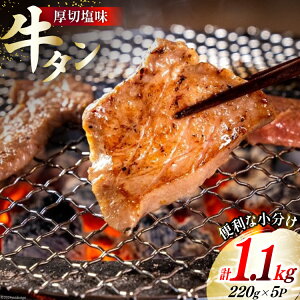 yӂ邳Ɣ[Łz  ̋^   1.1kg (220g×5p) [ {錧 O 30ag0005]     ^ イ ^ ^ ؂ t   Ⓚ ē Ă BBQ AE
