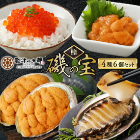 【ふるさと納税】 海鮮 詰め合わせ 歌津小太郎 磯の宝 ＜極＞ あわび煮貝 塩うに いくら醤油漬 焼うに [橋本水産食品 宮城県 南三陸町 30ah0004] 魚介 アワビ あわび 鮑 ウニ うに 雲丹 いくら イクラ醤油漬 高級 高級食材 セット 冷凍