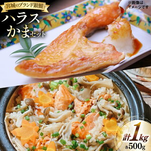 yӂ邳Ɣ[Łz   nX  Zbg e500g v 1kg [O񂳂}VF {錧 O 30ai0053] Y Ⓚ J} ؐg Ⴏ VP   TP    CN