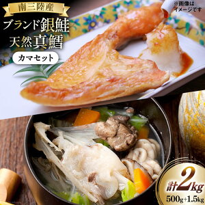 yӂ邳Ɣ[Łz  500g ^L 1.5kg J} Zbg v 2kg [O񂳂}VF {錧 O 30ai0054] lߍ킹 CN      TP VP L ^   Ⓚ 