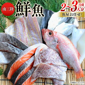 【ふるさと納税】 鮮魚 詰め合わせ 魚屋お任せ！南三陸お楽しみ鮮魚 セット 2〜3人分 [さかなのみうら 宮城県 南三陸町 30aj0001] 魚 タコ 牡蠣 ほや ホタテ 塩辛 佃煮 切り身