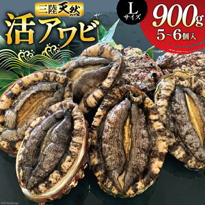 �y�ӂ邳�Ɣ[�Łz �y���Ԍ��蔭���z �C�N ���� �O�� �V�R �� �A���r L�T�C�Y 900g(5�`6��) [�}�����ܗm���Y �{�錧 ��O���� 30al0009] ����� ����� � �V�R �ڈ΂���� �L �① �h�g �h���g ��