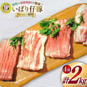 yӂ邳Ɣ[Łz ؓ  ΂e [X o  J^XCX e500g v2kg [GEReBbzE\[iC {錧 O 30am0002]    |[N  lߍ킹 Hה 