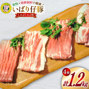 yӂ邳Ɣ[Łz ؓ  ΂e [X o  J^ Ԃԗp e300g v1.2kg [GEReBbzE\[iC {錧 O 30am0003]    |[N  lߍ킹 H
