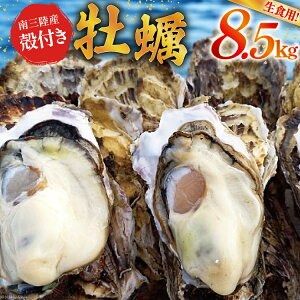 yӂ邳Ɣ[Łz yԌ蔭z y OuÐY kty 8.5kg 50O [Oyy {錧 O 30ao0003] JL  y L y L CN  ICX^[ J