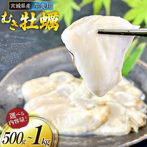 yӂ邳Ɣ[Łz yԌ蔭z {錧Y ނy Hp yeʂIׂz [yV {錧 O 30aw0007]  JL y y L  g ނg kȂ ① VN Ȃ J