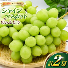 【ふるさと納税】 【期間限定発送】【2026年発送】 家庭用 シャインマスカット 旬のぶどう 詰め合わせ 各1房 計2房 [みなと果実園 宮城県 南三陸町 m304bdy880000] ぶどう ブドウ 葡萄 マスカット フルーツ 果物 くだもの 産地直送 農家直送 冷蔵 果実