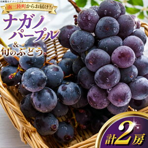yӂ邳Ɣ[Łz yԌ蔭zy2026Nz iKmp[v {̂Ԃǂ lߍ킹 e1[ v2[ [݂ȂƉʎ {錧 O m304bdy880001] Ԃǂ uhE  t[c ʕ 