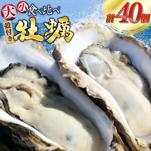 yӂ邳Ɣ[Łz yԌ蔭z kt y v40 2(OWICX^[  OMAKI ) Hה Zbg e20 yiCtt [Geoyst {錧 O m304bdz670001]  JL ICX^[ y 