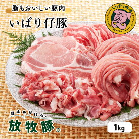 【ふるさと納税】シェフもおすすめ「日本で一番おいしい豚肉！」★いばり仔豚★4種の部位＜ロース・バラ・もも・カタスライス各250g＞詰め合わせ♪フレッシュ豚肉1kgコース　【ロース・お肉・豚肉・バラ・モモ・カタ・ポーク】