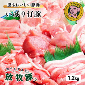 【ふるさと納税】シェフもおすすめ「日本で一番おいしい豚肉！」★いばり仔豚★4種の部位・各300g＜ロース・バラ・もも・カタ＞詰め合わせ♪フレッシュ豚肉しゃぶしゃぶ1.2kgコース　【ロース・お肉・豚肉・バラ・モモ・しゃぶしゃぶ・薄切り肉】