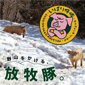 【ふるさと納税】【定期便 3か月連続】シェフもおすすめ「日本で一番おいしい豚肉！」★いばり仔豚★4種の部位＜ロース・バラ・もも・カタスライス各250g＞詰め合わせ♪フレッシュ豚肉1kgコース　【定期便・お肉・ロース・豚肉・バラ・モモ・3ヶ月・3回】