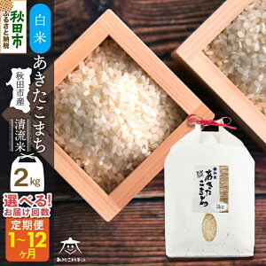 yӂ邳Ɣ[Łz܂  2kg HcsYaYyāzyIׂ邨͂(1`) z