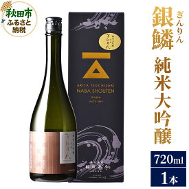 【ふるさと納税】日本酒 銀鱗(ぎんりん)純米大吟醸 720ml×1本