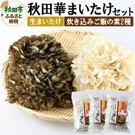 【ふるさと納税】秋田華まいたけ 生まいたけ加工まいたけセット「黒まいたけ 約500g」「白まいたけ 約500g」「炊き込みご飯の素 黒」×2、「炊き込みご飯の素 白」×1