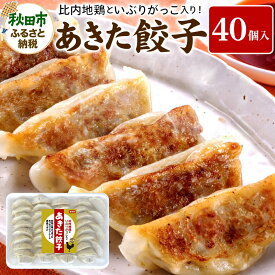 【ふるさと納税】餃子 あきた餃子(40個) 比内地鶏 いぶりがっこ 入り 無限堂 惣菜 冷凍