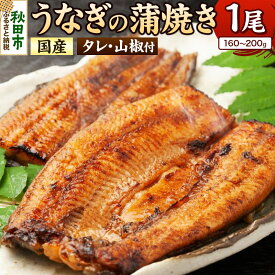 【ふるさと納税】うなぎ うなぎ蒲焼き 160〜200g× 1尾 (タレ・山椒付き) 仕出しのせきや 鰻 土用の丑の日 国産