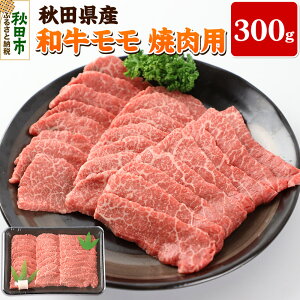 yӂ邳Ɣ[ŁzHcY a ēp(300g) ① јa 