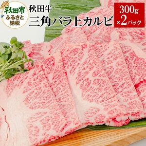 yӂ邳Ɣ[ŁzHcOpoJr 300g×2pbN