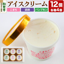 【ふるさと納税】アイスクリーム詰め合わせ(120ml×12個入り)