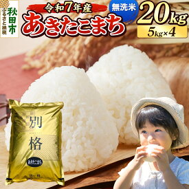【ふるさと納税】《令和7年産》 米 あきたこまち 20kg（5kg×4袋） 【無洗米】 秋田県産