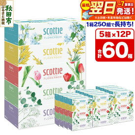 【ふるさと納税】ティッシュペーパー スコッティ フラワーボックス250組 60箱(5箱×12パック) ティッシュ 日用品 最短翌日発送