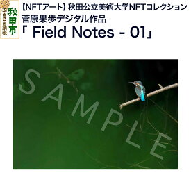 【ふるさと納税】【NFTアート】《秋田公立美術大学NFTコレクション》鳥類を対象にフィールドワークや撮影を続ける菅原果歩デジタル作品「Field Notes - 01」