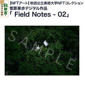 【ふるさと納税】【NFTアート】《秋田公立美術大学NFTコレクション》鳥類を対象にフィールドワークや撮影を続ける菅原果歩デジタル作品「Field Notes - 02」