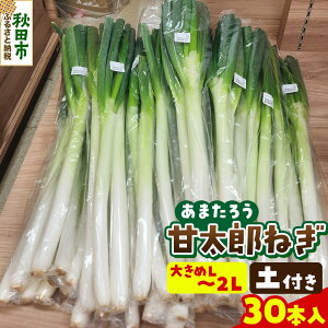 yӂ邳Ɣ[ŁzÑY˂ 5kg y˂i130{j