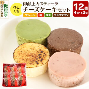 【ふるさと納税】ひとくちチーズケーキセット(プレーン、苺、抹茶、チョコマロン 各20g 計12個)