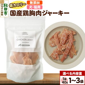 �y�ӂ邳�Ɣ[�Łz���Y�{�����W���[�L�[ ���Y�� �y�I�ׂ���e�� 1�܁^2�܁^3�܁z �N���l�R�䂤�p�P�b�g