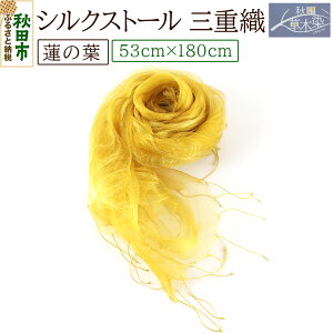 yӂ邳Ɣ[ŁzVNXg[yOdD @̗tz1i53cm×180cmj