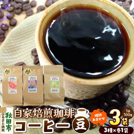 【ふるさと納税】コーヒー 自家焙煎珈琲 豆 100g×おまかせ3種セット 計300g スペシャリティコーヒー