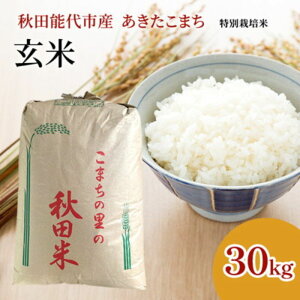 yӂ邳Ɣ[ŁzV ߘa7N  HcF ʍ͔| ܂ 30kg HcY ߘa7NY      uh ͂ ʍ͔|@͂FmFA2Tԁ`1