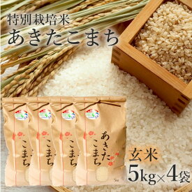 【ふるさと納税】【玄米】特別栽培米 あきたこまち 20kg（5kg×4袋） 秋田県産 令和5年産　【 玄米 お米 お米 あきたこまち 】　お届け：入金確認後、2週間～1か月程度でお届けします。