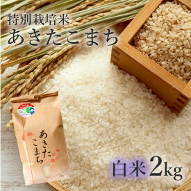 【ふるさと納税】【白米】特別栽培米 あきたこまち 2kg 秋田県産 令和5年産　【 お米 あきたこまち 】　お届け：入金確認後、2週間～1か月程度でお届けします。