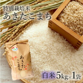 【ふるさと納税】【白米】特別栽培米 あきたこまち 5kg 秋田県産 令和5年産　【 お米 あきたこまち 】　お届け：入金確認後、2週間～1か月程度でお届けします。