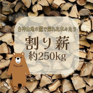 yӂ邳Ɣ[Łzd 1I 250kg d Lt ԔR d dXg[u   Lvt@C[ AEghA Lv Lvpi AEghApi Xg[u pi Hc Hc 