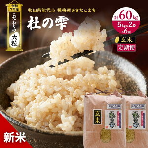 yӂ邳Ɣ[Łzߘa7NY V   s6tyāzHcY ܂ ~Y܂ m̎ ̑嗱 10kgi5kg×2܁j×6 v60kg @͂F2025N10{