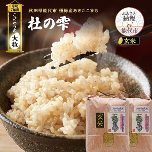 yӂ邳Ɣ[Łzߘa7NY V  Hc ܂ m̎ 20kg i 10kg ×2܁j HcY   ̑嗱 ~Y  uh 嗱 ɂ Yn  Hc@