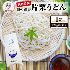 【ふるさと納税】うどん 麺の鍋谷 片栗うどん 120g 4束入 1箱 お土産 ピロー箱 お試し 麺類 乾麺　お届け：入金確認後、2週間～1か月程度でお届けします。