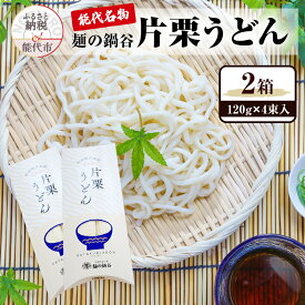 【ふるさと納税】うどん 麺の鍋谷 片栗うどん 120g 4束入 2箱 お土産 ピロー箱 麺類 乾麺　お届け：入金確認後、2週間～1か月程度でお届けします。