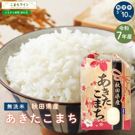 【ふるさと納税】令和7年産 あきたこまち 無洗米 5kg 10kg 秋田県産 米 一等米 ブランド米 5キロ 10キロ 精米 精米したて 一人暮らし 秋田 能代 能代市 送料無料 《こまちライン》