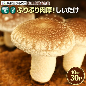 yӂ邳Ɣ[Łz i 10Si100gj×30pbN