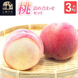 【ふるさと納税】《先行受付！8月上旬より順次発送》秋田県横手市産 季節の桃 詰め合わせ 約3kg （13玉〜20玉） [先行予約 ふるさと納税 桃 もも 秋田県横手市産 大玉]