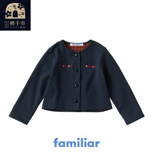 yӂ邳Ɣ[Łzt@~A(familiar) J[fBK(100`120cm) lCr[(NB)
