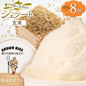 【ふるさと納税】ジェラート 玄米 約100g×8個 [ジェラート アイス アイスクリーム GELATERIA SHEETA ジェラテリアシータ 秋田県 横手市]